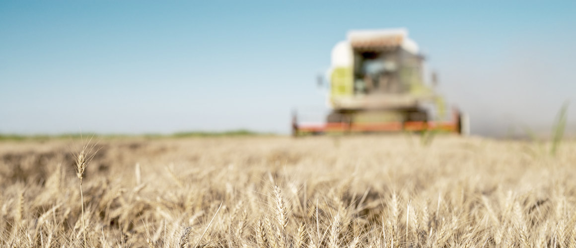 hygienne des aliments demarche strategique