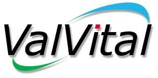 Groupe VALVITAL